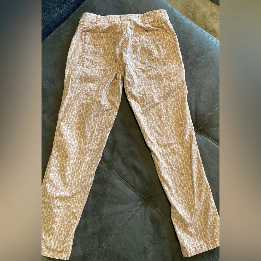Anthropologie wanderer cheetah